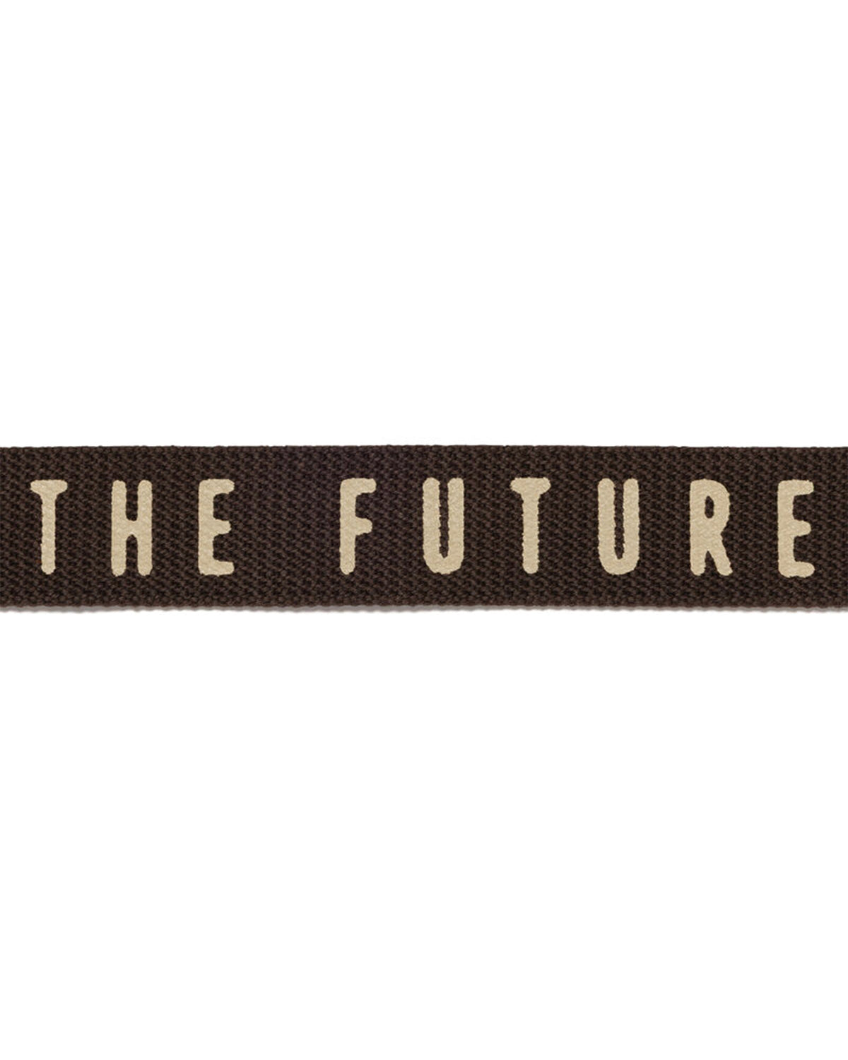 WEB BELT
